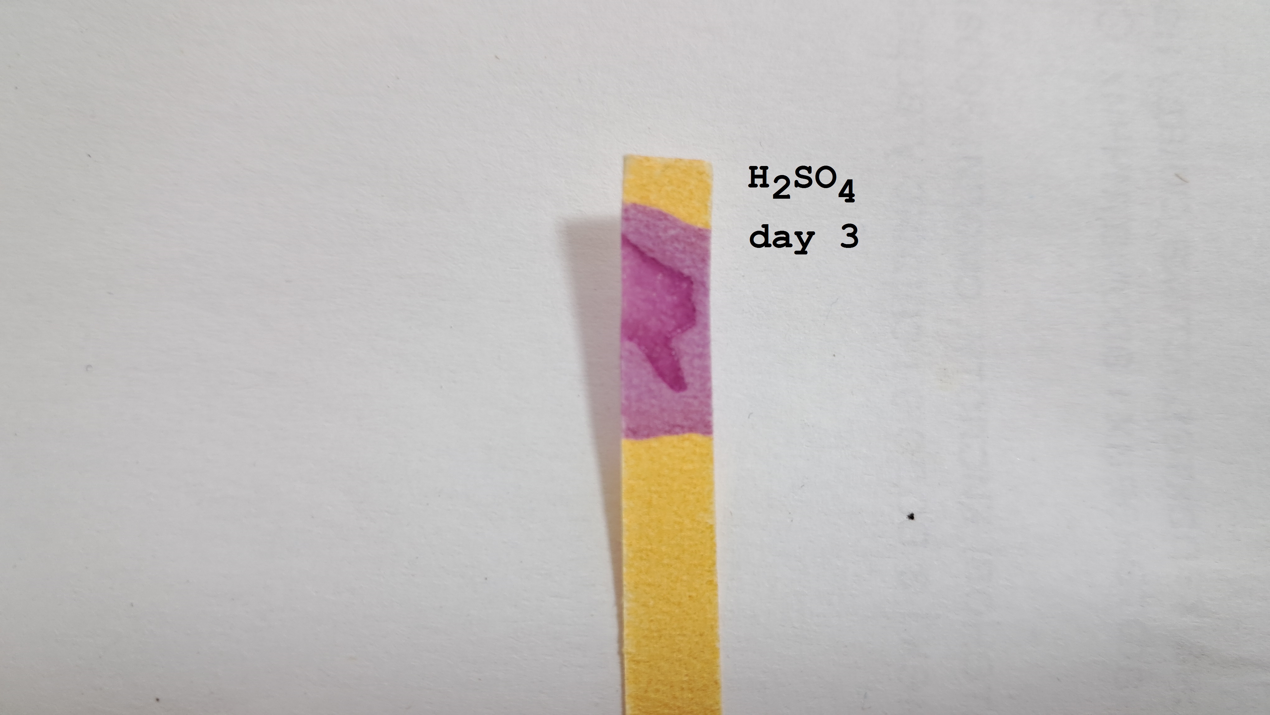 Universal Indicator Paper: Color Change Over Time